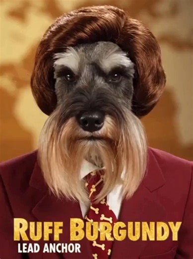 Anchorman: The Legend of Ruff Burgundy – A Funny Dog Adventure
