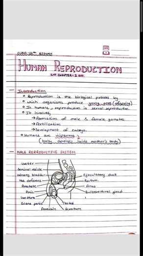 Human Reproduction Class-12 Biology Ch-1 Part-1 #humanreproduction #biology #class12biology #neet