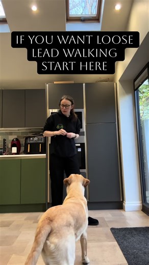 Loose Lead Walking: Start Here for a Better Walk