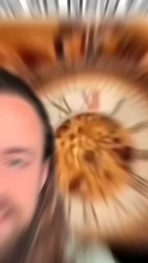 16K views · 524 reactions | ✨ The fifth dimension isn’t a different...