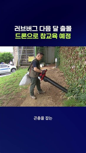 Water-spraying drones and suction traps deployed to catch the unwelcome summer 'Lovebugs' #Lovebu...