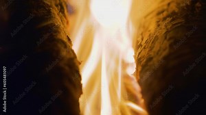 Log fire in a fireplace - close-up of a burning log of wood Stock Video