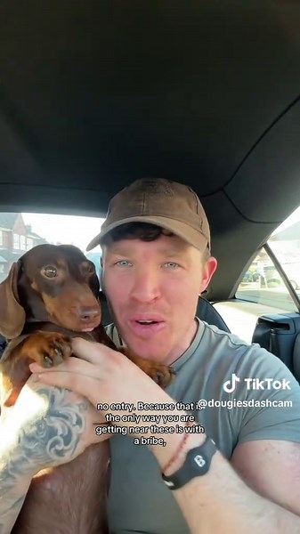 The Serious Side of Sausage Dogs