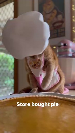 64K views · 41 reactions | Don’t tell ‘em it’s not homemade  This...