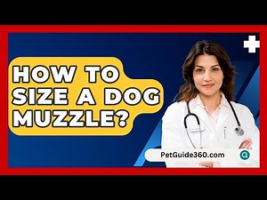 How To Size A Dog Muzzle? - PetGuide360.com