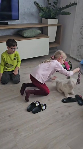 Teraz neviem, kto má väčšiu radosť...či Eminek, alebo deťúrence 😊 | Havanais Asterisk Unina