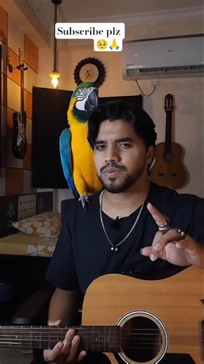 Beginner Guitar Tutorial: Master Finger Placement & Technique | Easy Guitar Lessons