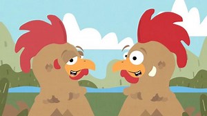 Fact Finding - Birds