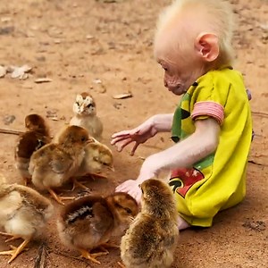 6.1K views · 858 reactions | Baby monkey Vs chicken | Avata Monkey II | Facebook