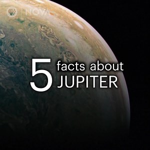1.2M views · 2.5K reactions | Jupiter’s famous red spot is a giant storm, roughly twice the size of Earth, that’s been raging for over a century. Watch the full documentary on Jupiter here: https://to.pbs.org/2Gp0USz | NOVA l PBS | Facebook