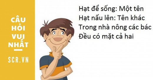 Câu Hỏi Vui Có Đáp Án [112  Câu Đố Hài Hước Nhất