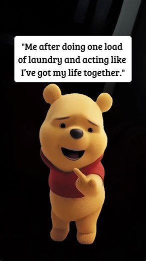 Still got a load of laundry to do but I managed one load today 😂😂 #Meme #MemeCut #laundry #winningatlife