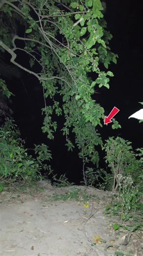 Ghostly Photoshoot & Ghost Hunting Adventures