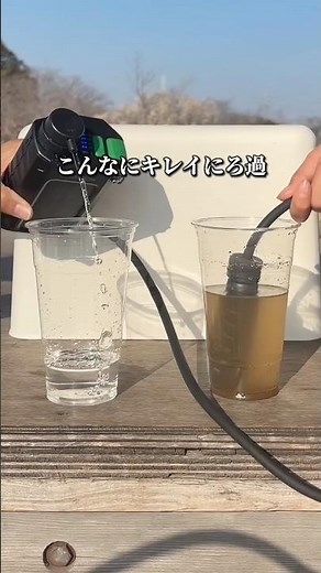 Portable water purifier