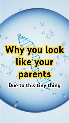 What Are Genes? Tiny but Powerful