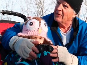 Catching a glimpse of the Northern Pygmy Owl