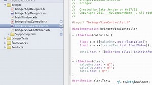 Learn Xcode 4 Tutorial iOS iPad iPhone 1.8 Basic Alert View with Options