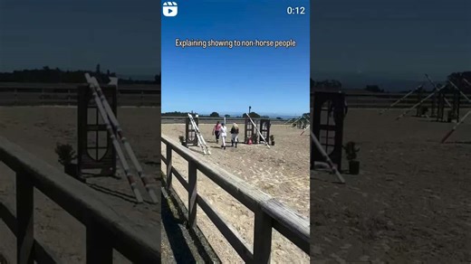 Horse Showing Explained for Beginners