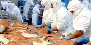 La Microbiología de los alimentos y el Sistema HACCP en la seguridad alimentaria