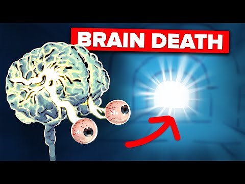 What is Happening Inside Your Brain When You Die