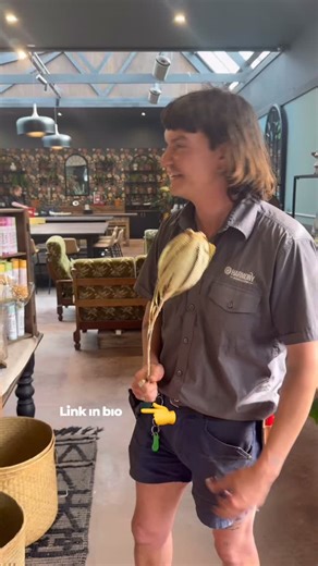 Big news from Harmony Studio! 🥳 Ange has officially launched our brand-new pottery studio — a creative space where clay, community, and imagination come together. From spinning on the Quark pottery wheel to firing up the Skutt Firebox, she’s been putting some exciting new gear to the test (and loving every minute of it!). 🎥 Here’s a full review on the products she’s been using: https://www.youtube.com/watch?v=6MeV5auwhts Come get inspired, get your hands muddy, and join the Harmony creative mo