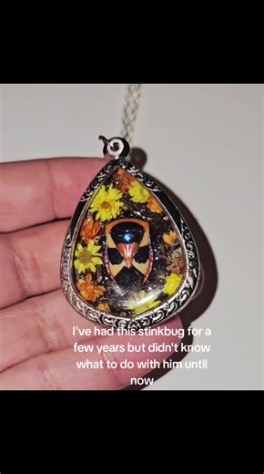 this beaut is now available in my etsy shop #stinkbug #insect #bug #bugpendant #gothic