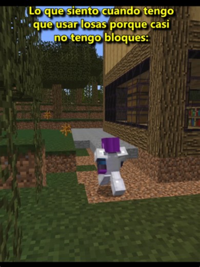 Why I Hate Being Poor in Minecraft