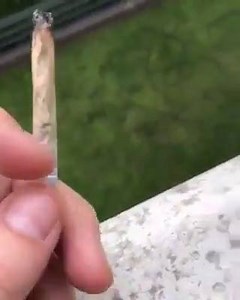 5.8K views · 157 reactions | Wheelz on Reels | Facebook