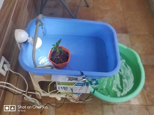 Smart Aquaponics with Dashboard @Raspberry_Pi #PiDay #RaspberryPi
