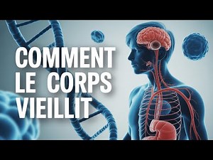 Vieillissement biologique : ce que la science comprend aujourd’hui (sans promesses)