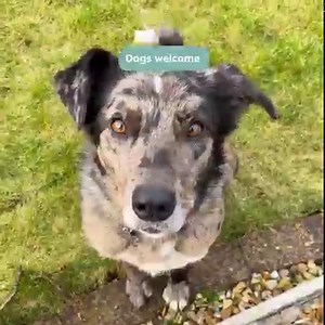 2.9K views · 48 reactions | A hidden gem for large groups in the...