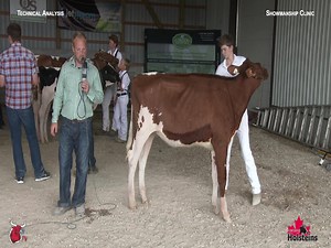 2.9K views · 50 reactions | SHOWMANSHIP JUDGING VIDEO - Technical...