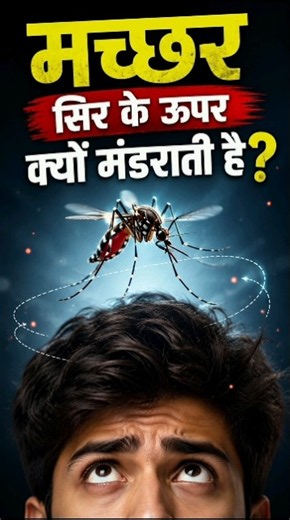 “Why Do Mosquitoes🦟 Fly Around Your Head? 😱😨#facts #shorts #viral