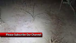 252K views · 10K reactions | خطر ناک ترین لوکیشن Horror Location Ep 31 Raaz ki Bat | Mux9 Tv | Facebook