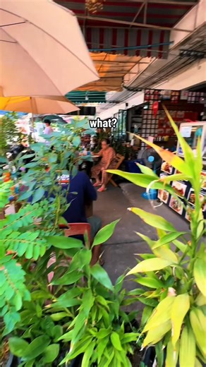 1.2K views | Have you ever had help looking for a cache?! How about in a foreign country? We just spent 16 days exploring Thailand and we loved every second of our visit. This cache was found in Chiang Mai, and the people were so nice helping us find it! If you ever have the chance, you should vind #ChiangMai #Thasit Thailand and find some of it s incredible Geocaches! #Geocaching #Geocache #CacheMeIfYouCan #Hullsome #Thaila | Linda Hawkyard | Facebook