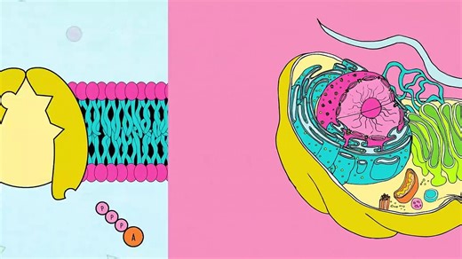 Crash Course Chemistry | show | 2013 | Official Teaser