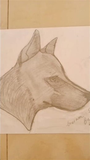 how to draw german shepherd dog #shorts #art #howtodraw