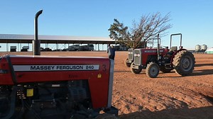 190 reactions · 29 comments | The MF 200 Xtra is the ideal multi-purpose tractor for your farm, handling every task efficiently and comfortably. Venter Boerdery near Addo in the Eastern cape uses 53 Massey Ferguson 240 for hauling citrus carts and other jobs around the farm. Read more about how they are used here  https://bit.ly/3z1I5xD Find more about MF 200 Xtra and get a quote ➡️ https://bit.ly/2RbADzP #MasseyFerguson #massey | Massey Ferguson | Facebook