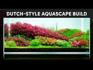 Dutch Aquascape Explained | Plant Streets, Stem Layout & ADA 90P System