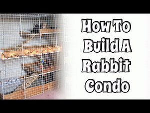 BudgetBunny: How To Build Your Own NIC Rabbit Condo