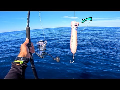 THE FISH TOWED THE BOAT!! Epic Majestic Offshore Big Fish On A Popper - Montauk NY