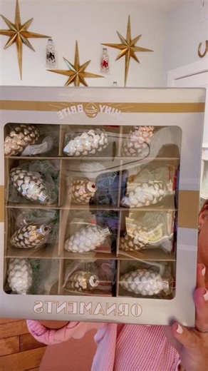 I hit the Shiny Brite ornament mother lode today! #shinybrite #marshalls #shinybriteornaments #christopherradko