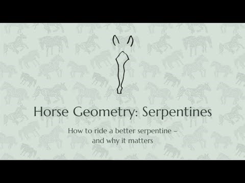 How (and why) to ride a serpentine with your horse