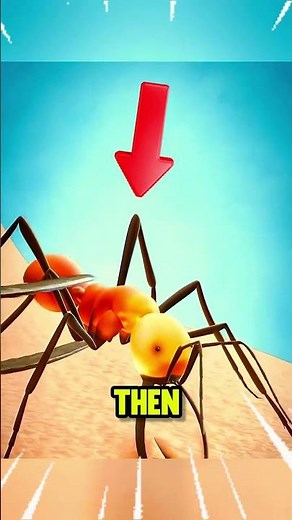 Ancient Doctors Had a Secret | Ant Heads as Natural Stitches?