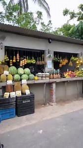 1.1M views · 10K reactions | Carlinhos parou na tia das frutas | Portal Carlinhos Maia Fãs do Brasil | Facebook