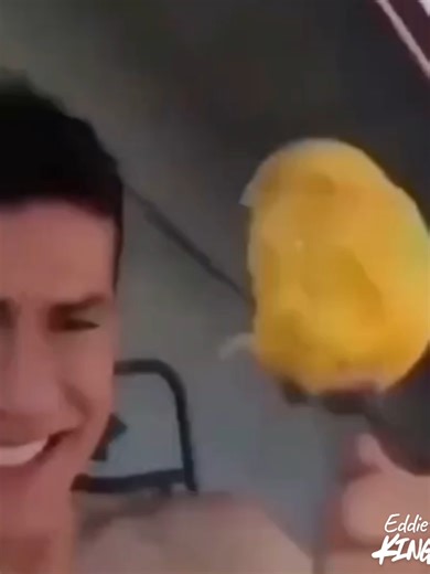 Eating a Mango with a Fork: A Hilarious Food Moment