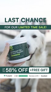 80% of dogs over 8 suffer from debilitating joint problems*. Up to 58% OFF Wuffes Joint Chews FREE Gift FREE Shipping! 🎁Act now to enhance your pup’s joint health and maintain their mobility! 🐾 Heavily studied active ingredients 🐾 Recommended by Vets 🐾 No fillers, artificial colors, or flavors 🐾 4.8/5 ⭐️ on Trustpilot It’s not too late! *Johnston, S.A (1997) ‘Osteoarthritis’, Veterinary Clinics of North America: Small Animal Practice, 27(4),pp.699-723. doi: 10.1016/s0195-5616(97)50076-3 | W