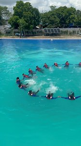 79K views · 982 reactions | Not sure where to start your maritime...