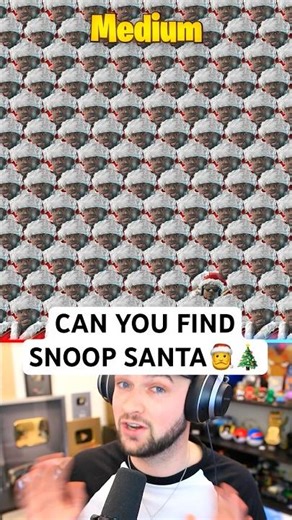 Can YOU Find Snoop Santa? 🎅