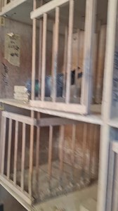 Voorbereidingen voor het nieuwe seizoen 2026 🕊️🚀 Met AIDI Winter/Rust houden we onze vliegploeg in optimale omstandigheden. 💪🕊️ | Duiven Lannoo